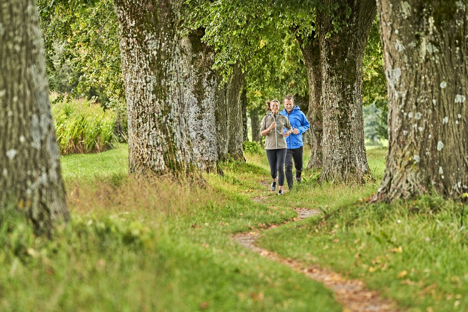 Hier sehen Sie zwei Personen, die auf einen Weg zwischen Bäumen joggen gehen.