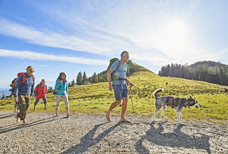 Hier sehen Sie eine Gruppe Wanderer, welche alle Barfuß wandern gehen. Sie haben einen Hund dabei. Im Hintergrund sehen Sie eine Berglandschaft. 
