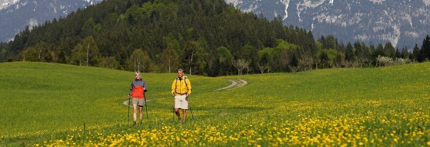 Hier sehen Sie zwie Personen beim Spazieren gehen. Sie gehen entlang einer bayerischen Blumenwiese. Hinter ihnen sind die Alpen zu sehen. 