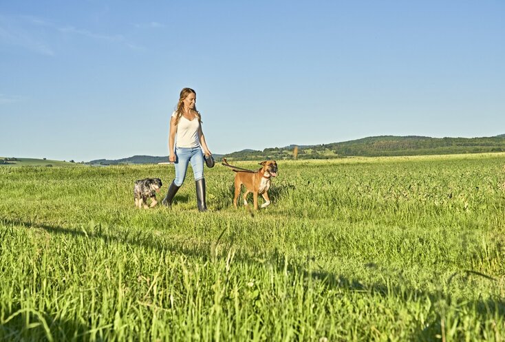 Sie sehen die GESUNDES BAYERN-Expertin Sarah Reinmold bei einem Spaziergang mit ihren beiden Hunden auf einer Wiese in Bad Brückenau. Im Vordergrund ist viel grüne Wiese zu sehen und im Hintergrund der blaue Himmel.
