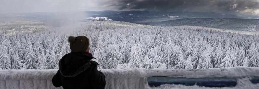 Hier sehen Sie Frau mit Mütze, die in eine verschneite Landschaft schaut.