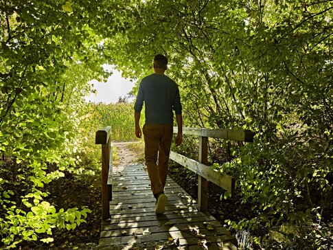 Hier sehen Sie einen Mann, der über eine kleine hölzerne Brücke läuft, die mitten durch grüne Bäume und Büsche verläuft.
