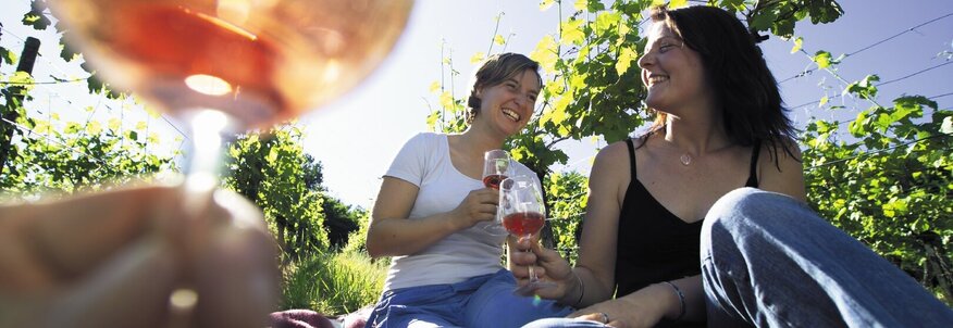 Hier sehen Sie mehrere Personen in einem Weinberg sitzen. Sie trinken einen Rose Wein