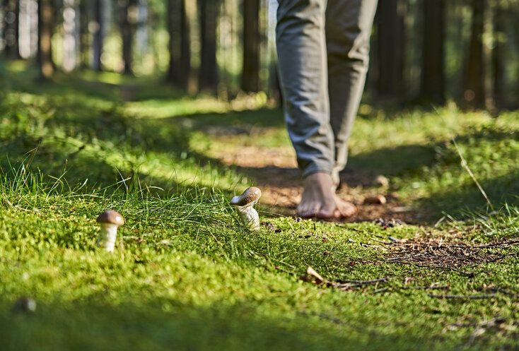 Hier sehen Sie Gesundes Bayern Waldexpertin Nathalie Elitzer barfuss auf dem Waldboden spazieren.
