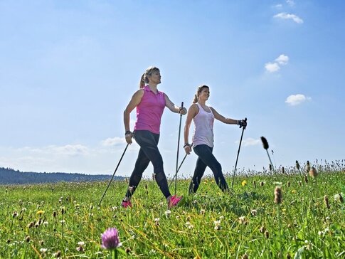 Zwei Frauen beim Nordic Walking in grüner Natur