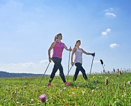 Sie sehen zwei Damen in Sportbekleidung beim Nordic Walking auf einer grünen Wiese.
