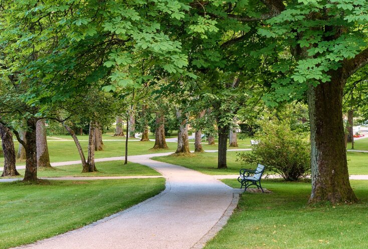 Sie sehen einen Weg, der durch den Kurpark von Bad Steben führt. Rechts und links neben dem Weg ist Wiese zu sehen und darauf stehen Bäume.