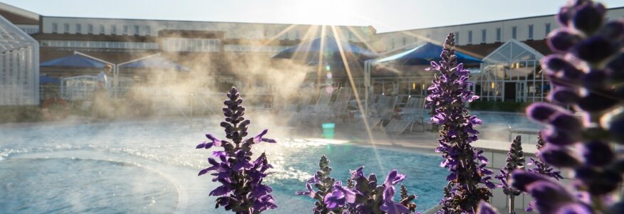 Hier sehen Sie eine Außenpoolbereich. Es steigt leichter Nebel vom warmen Pool auf. Im Vordergrund sind lila Blumen zu sehen. 