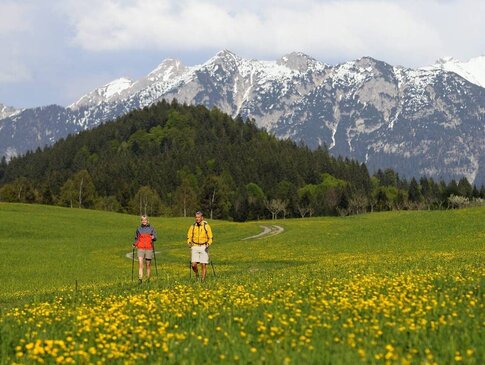 Hier sehen Sie zwie Personen beim Spazieren gehen. Sie gehen entlang einer bayerischen Blumenwiese. Hinter ihnen sind die Alpen zu sehen. 