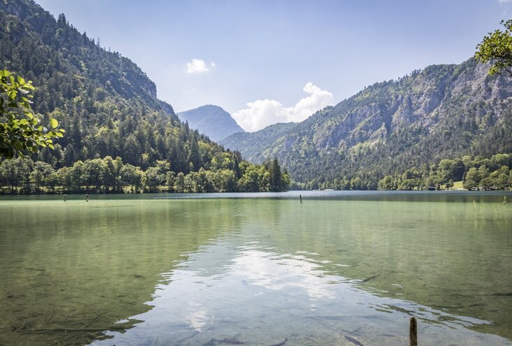 Sie sehen vom Ufer der Thumsees die Berge die ihn umgeben. Im Vordergrund ist eine große klare Wasserfläche und dahinter Bäume, die an den Berghängen wachsen.