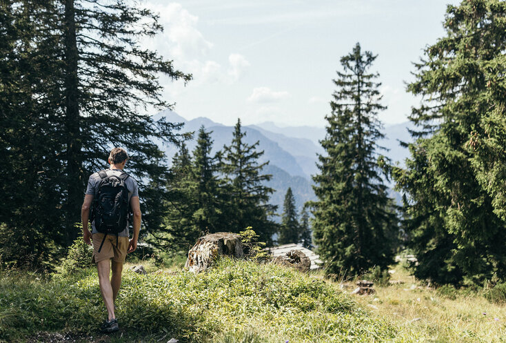 Mann wandert durch eine Lichtung im Wald