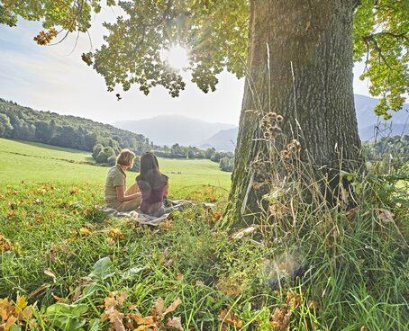 Hier sehen Sie zwei Frauen unter einen großen Baum sitzen. 