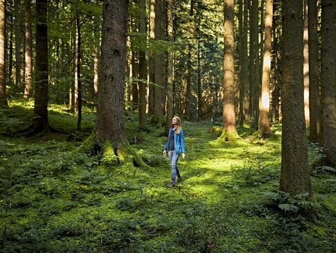 Hier sehen Sie eine Person in einem Wald. 