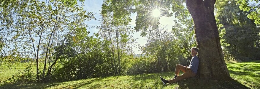 Hier sehen Sie einen Mann in blauem Oberteil unter einem großen Baum sitzen.