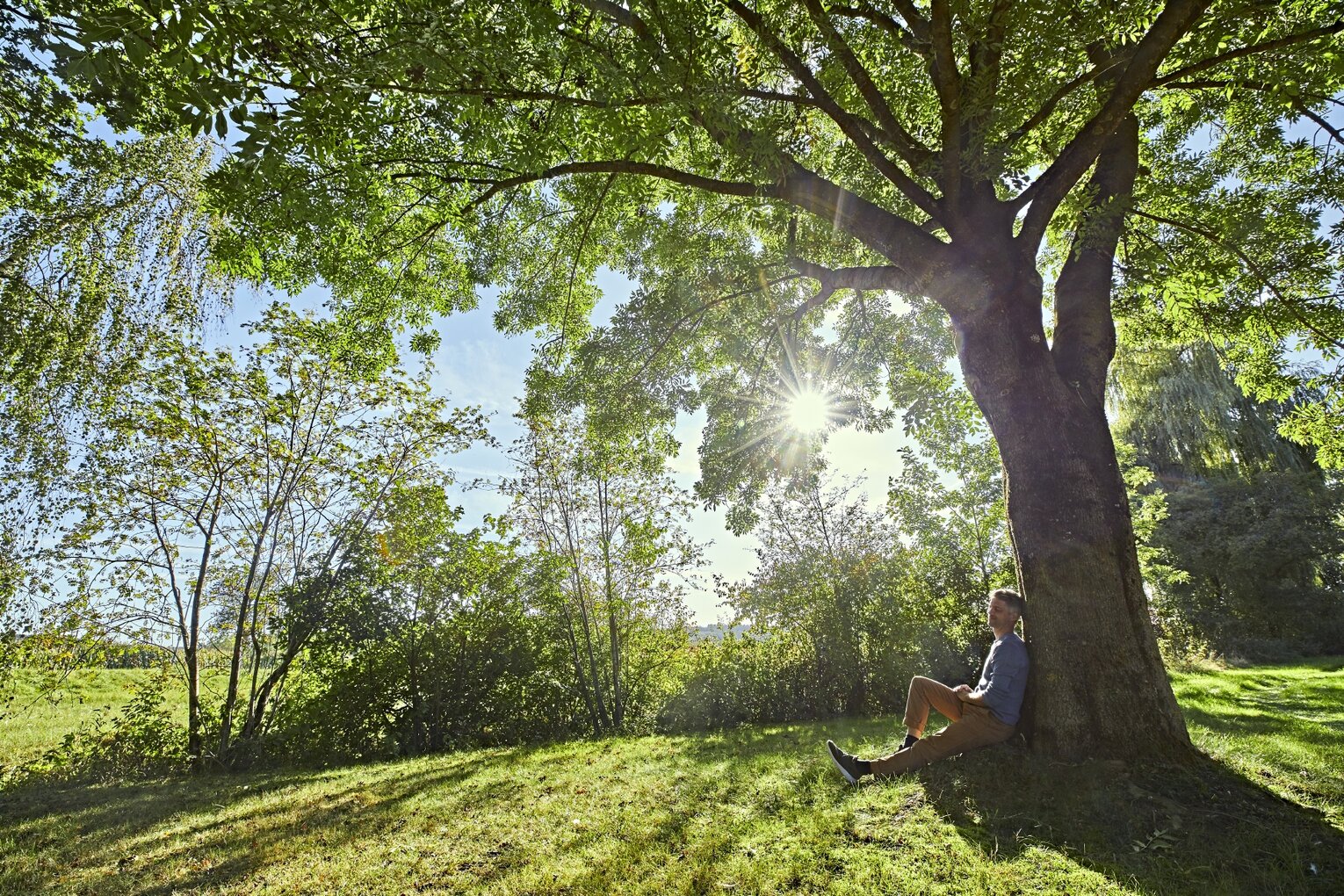 Hier sehen Sie einen Mann in blauem Oberteil unter einem großen Baum sitzen.