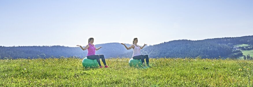 Hier sehen Sie zwei Frauen auf einer Wiese. Sie tragen Sportkleidung und machen Gymnastik auf einem Sportball.