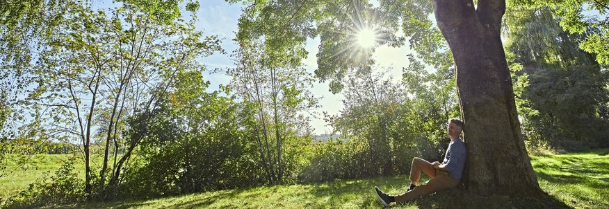 Ich sehe einen grauhaarigen Mann in beiger Hose und blauem Hemd unter einem großen Baum sitzen.