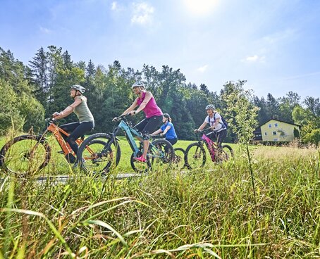 Hier sehen Sie 4 bunt gekleidete Damen, die mit 4 bunten E-Bikes in der Natur eine Radtour unternehmen. Die Sonne strahlt vom blauen Himmel, im Vordergrund ist Wiese zu sehen und im Hintergrund Bäume und eine Haus.