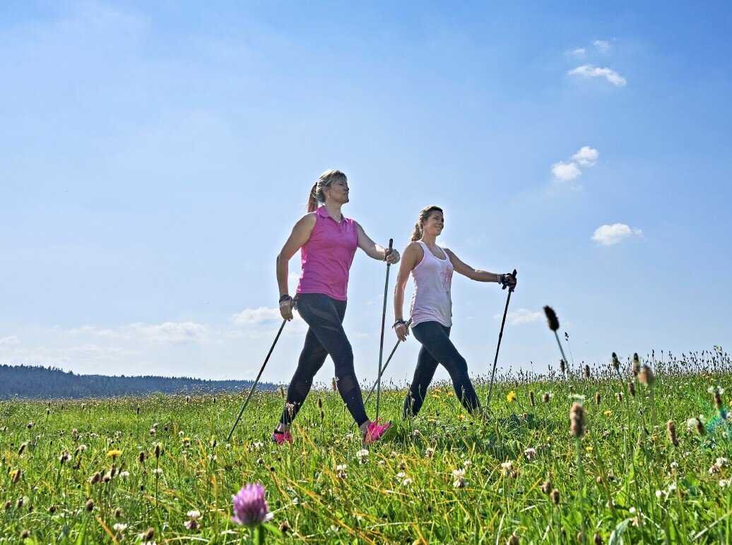 Sie sehen zwei Damen in Sportbekleidung beim Nordic Walking auf einer grünen Wiese.