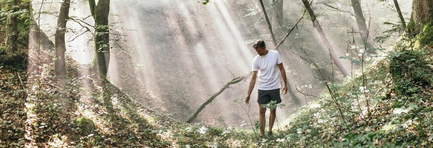 Mann im Wald mit Sonnenstrahlen, Frühlingserwachen