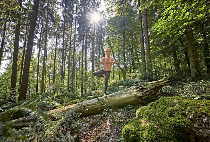 Hier sehen Sie eine junge Frau in Sportkleidung, die eine Yogaposition auf einem umgestürzten Baumstamm im Wald macht.