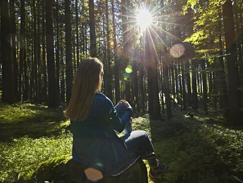 Hier sehen Sie eine Person in einem Wald sitzen. 