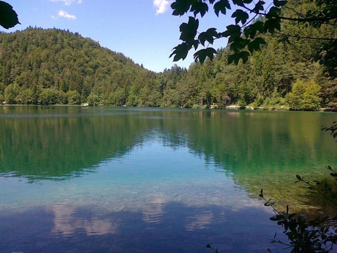 Gesundes Bayern