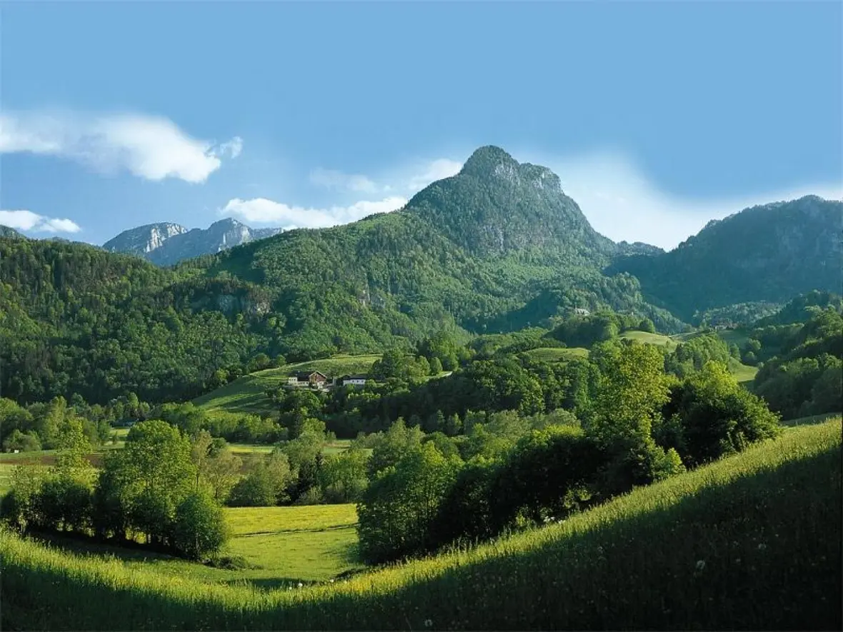 Gesundes Bayern