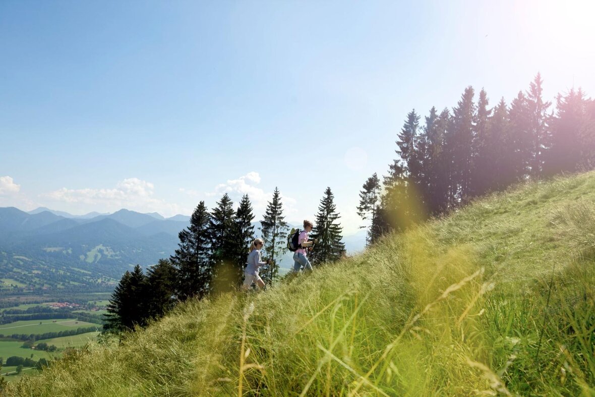 Gesundes Bayern