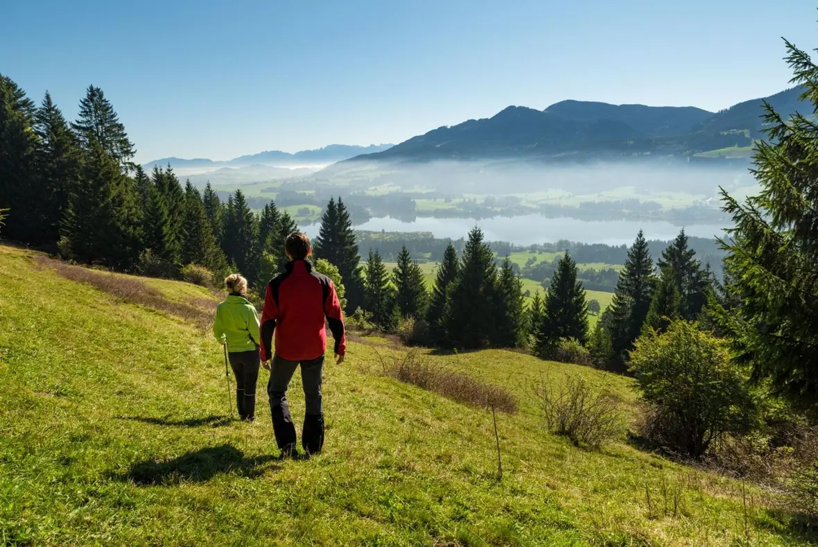 Gesundes Bayern