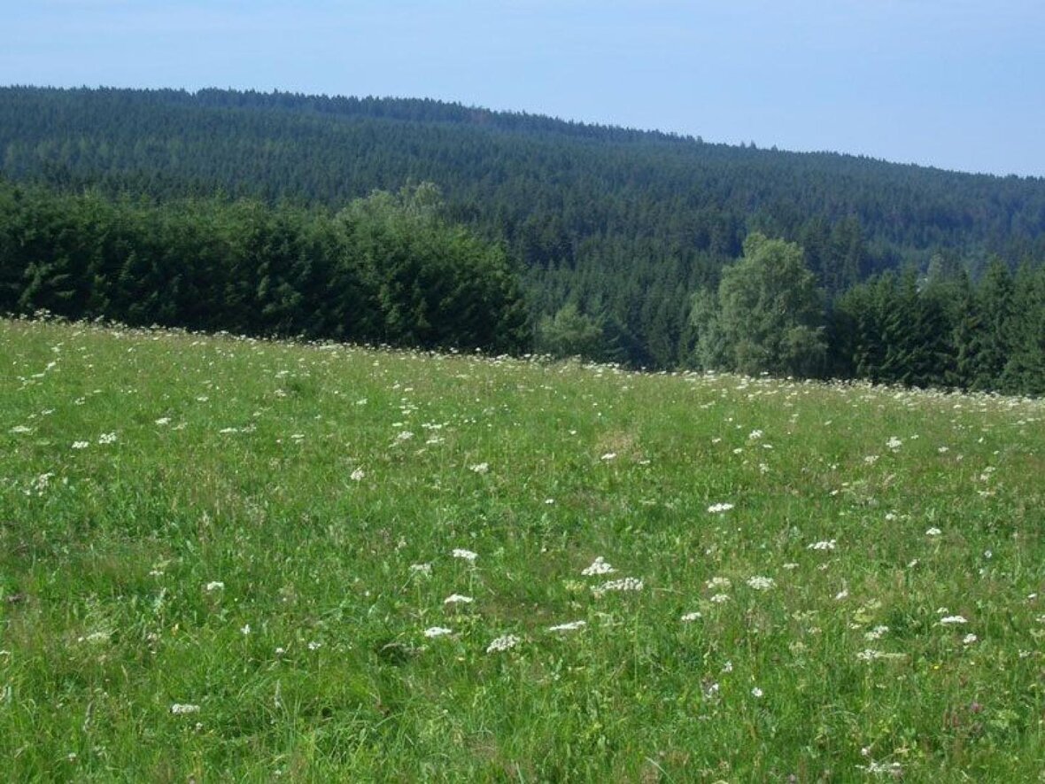 Gesundes Bayern