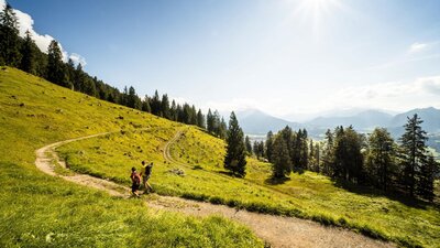 Gesundes Bayern