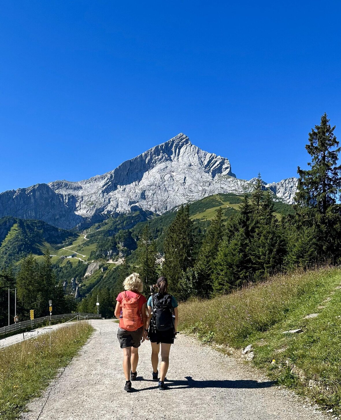 Gesundes Bayern Gesundes Bayern