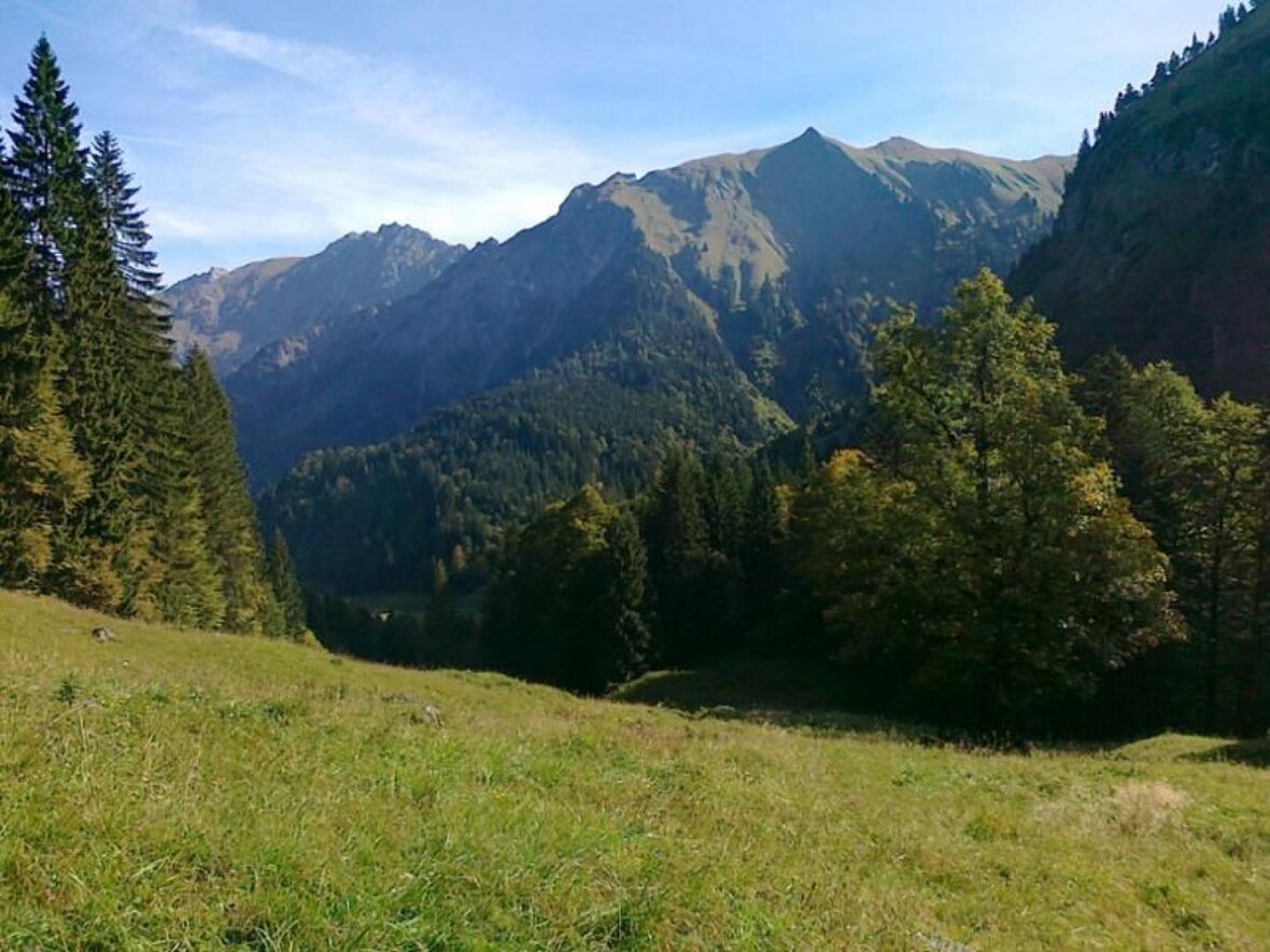 Gesundes Bayern