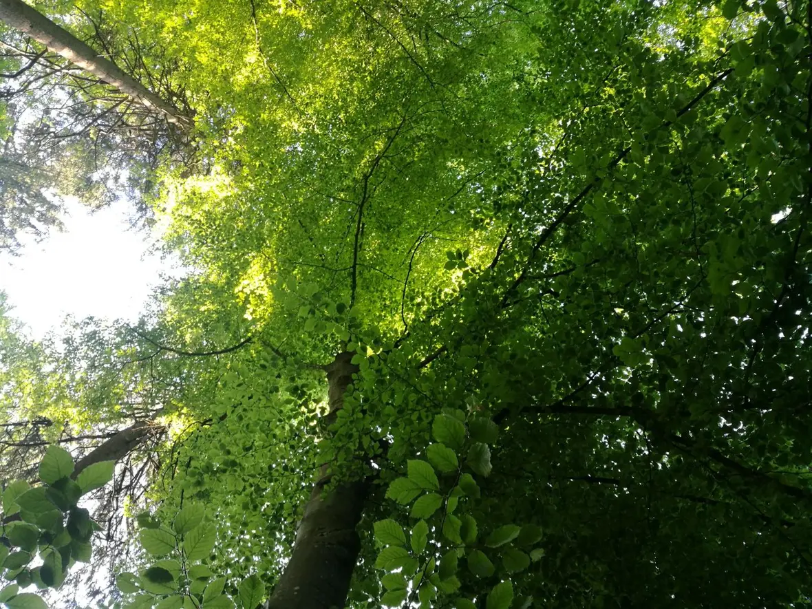Gesundes Bayern