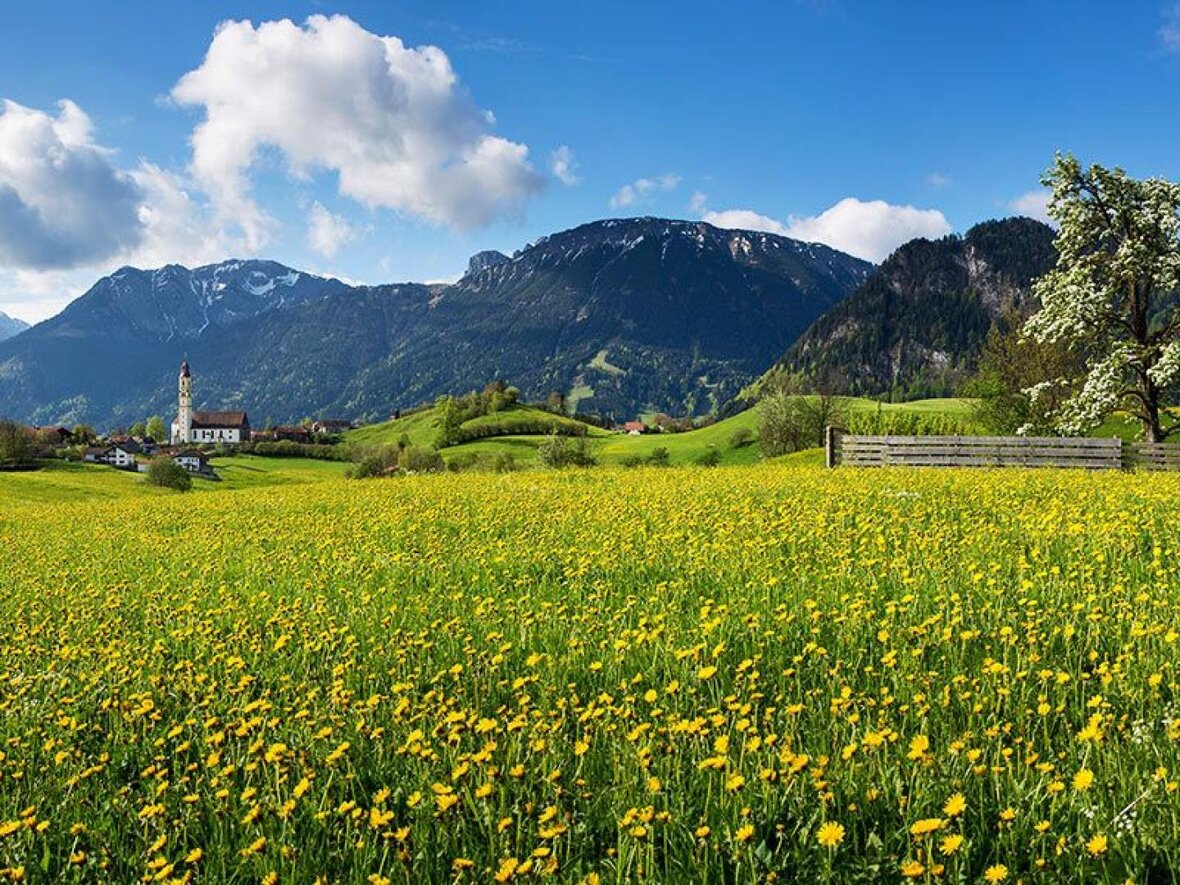 Gesundes Bayern