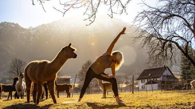 Gesundes Bayern