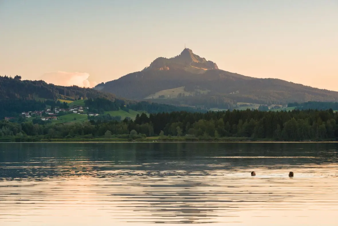 Gesundes Bayern