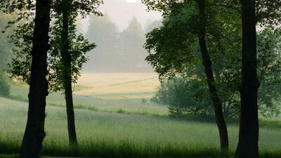 Gesundes Bayern