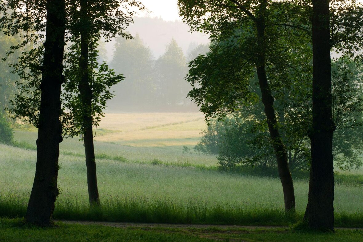 Gesundes Bayern